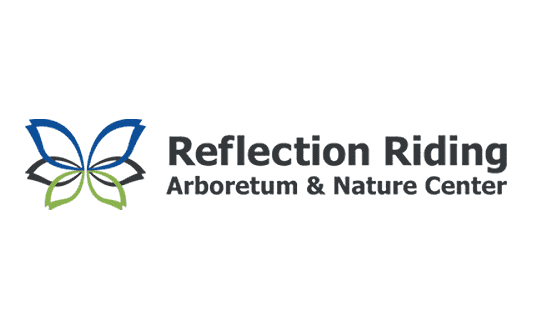 Reflection Riding